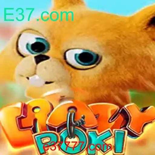 Guia Completo Sobre CrazyPoki: Descrição, Introdução e Regras do Jogo